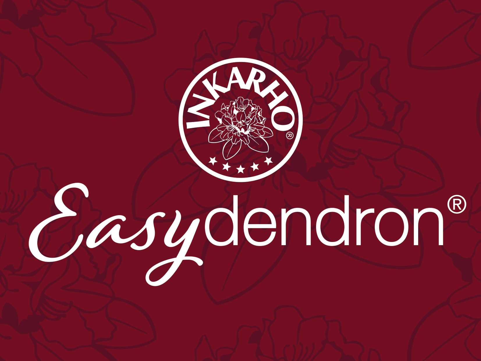 Easydendron Logo